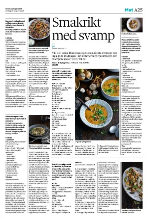 skanskadagbladet_z3-20250830_000_00_00_025.pdf
