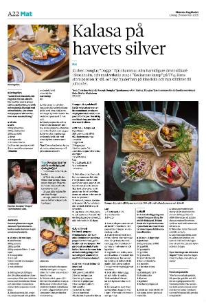 skanskadagbladet_z3-20251115_000_00_00_022.pdf