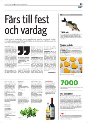 skanskadagbladet_z3_b-20141119_000_00_00_005.pdf