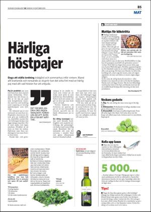 skanskadagbladet_z3_b-20151014_000_00_00_005.pdf