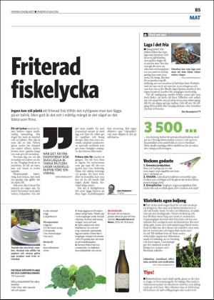 skanskadagbladet_z3_b-20160608_000_00_00_005.pdf