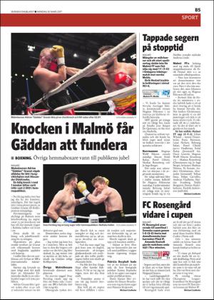 skanskadagbladet_z3_b-20170320_000_00_00_005.pdf
