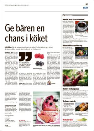 skanskadagbladet_z3_b-20170906_000_00_00_005.pdf