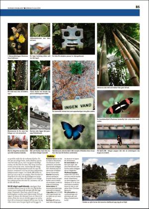 skanskadagbladet_z3_b-20190713_000_00_00_005.pdf