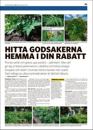 skanskadagbladet_z3_b-20190824_000_00_00_005.pdf