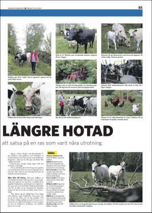 skanskadagbladet_z3_b-20200711_000_00_00_005.pdf