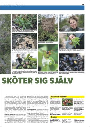 skanskadagbladet_z3_b-20200718_000_00_00_005.pdf