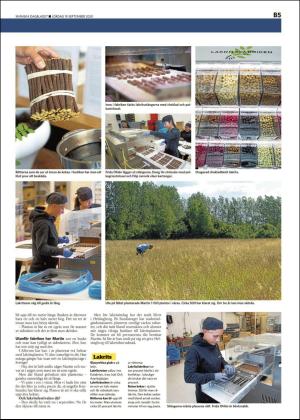skanskadagbladet_z3_b-20200919_000_00_00_005.pdf