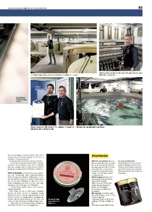 skanskadagbladet_z3_b-20201212_000_00_00_005.pdf