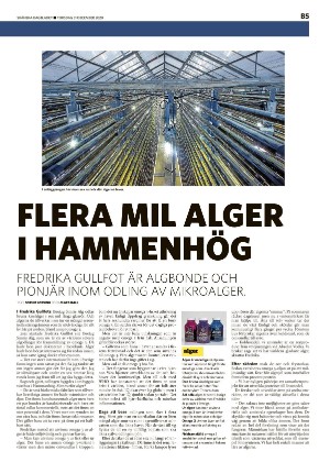 skanskadagbladet_z3_b-20201231_000_00_00_005.pdf