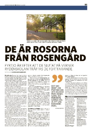 skanskadagbladet_z3_b-20210731_000_00_00_005.pdf