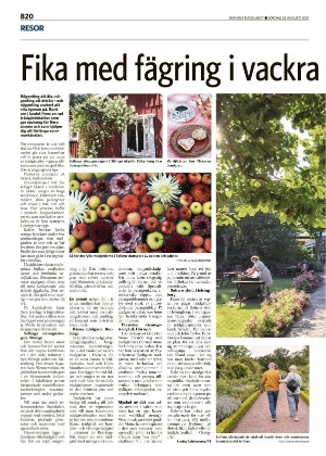 skanskadagbladet_z3_b-20210828_000_00_00_020.pdf