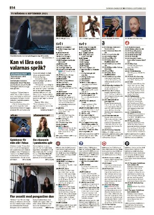 skanskadagbladet_z3_b-20210906_000_00_00_014.pdf