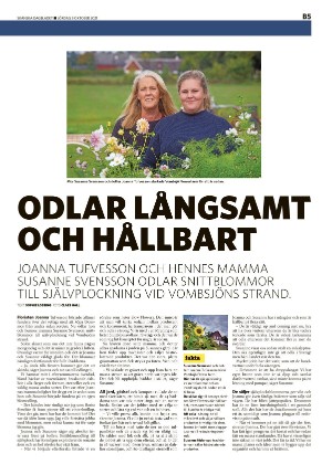 skanskadagbladet_z3_b-20211009_000_00_00_005.pdf