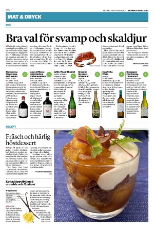skanskadagbladet_z3_b-20231020_000_00_00_010.pdf