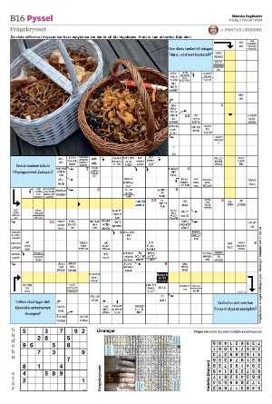 skanskadagbladet_z3_b-20240202_000_00_00_016.pdf