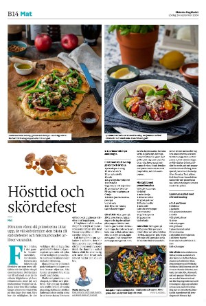 skanskadagbladet_z3_b-20240914_000_00_00_014.pdf
