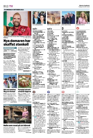 skanskadagbladet_z3_b-20241008_000_00_00_012.pdf