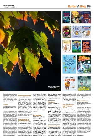 skanskadagbladet_z3_b-20241017_000_00_00_009.pdf