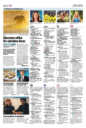 skanskadagbladet_z3_b-20241105_000_00_00_012.pdf