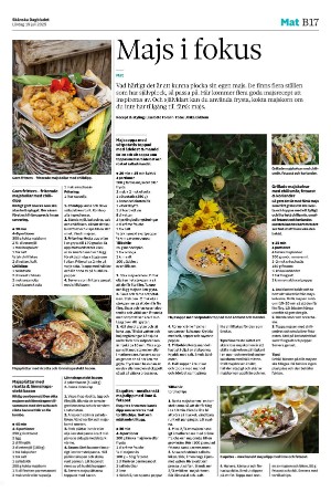 skanskadagbladet_z3_b-20250719_000_00_00_017.pdf