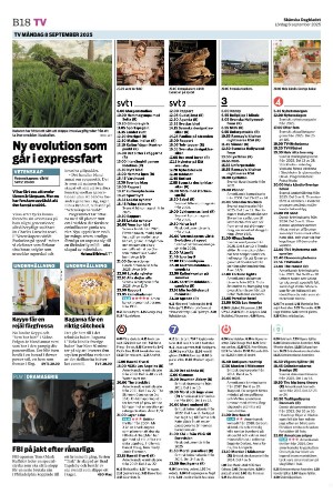 skanskadagbladet_z3_b-20250906_000_00_00_018.pdf