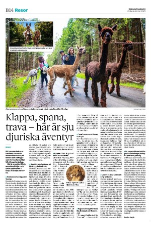 skanskadagbladet_z3_b-20251004_000_00_00_014.pdf