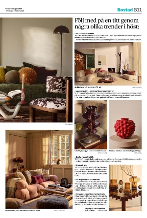 skanskadagbladet_z3_b-20251009_000_00_00_011.pdf