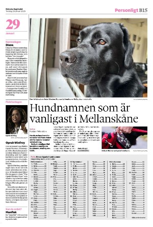 skanskadagbladet_z3_b-20260129_000_00_00_015.pdf