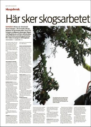skanskadagbladet_z3_c-20191106_000_00_00_004.pdf