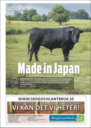 skanskadagbladet_z3_c-20200826_000_00_00_020.pdf