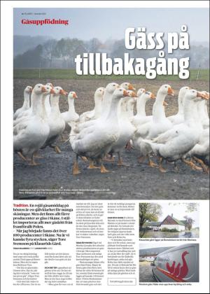 skanskadagbladet_z3_c-20201111_000_00_00_014.pdf