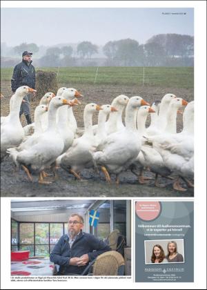 skanskadagbladet_z3_c-20201111_000_00_00_015.pdf