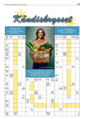 skanskadagbladet_z3_c-20201123_000_00_00_003.pdf
