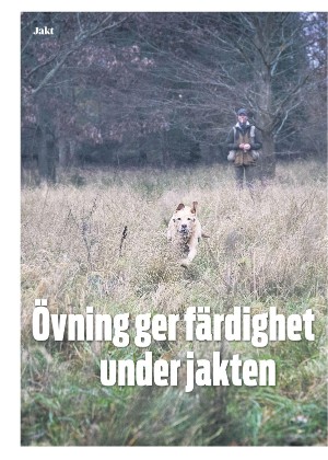 skanskadagbladet_z3_c-20201209_000_00_00_004.pdf