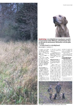 skanskadagbladet_z3_c-20201209_000_00_00_005.pdf