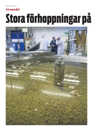 skanskadagbladet_z3_c-20201209_000_00_00_010.pdf