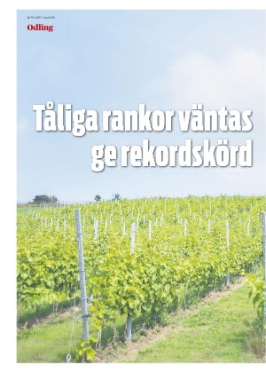 skanskadagbladet_z3_c-20210825_000_00_00_012.pdf