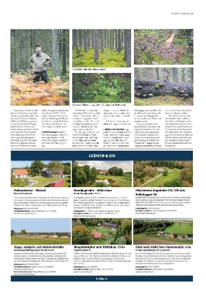 skanskadagbladet_z3_c-20211013_000_00_00_013.pdf