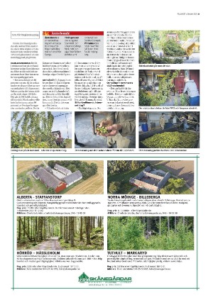 skanskadagbladet_z3_c-20211013_000_00_00_021.pdf
