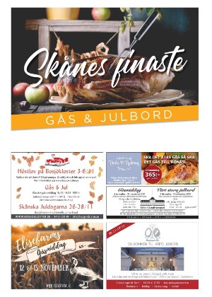 skanskadagbladet_z3_c-20211013_000_00_00_023.pdf