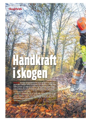 skanskadagbladet_z3_c-20211110_000_00_00_004.pdf
