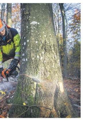 skanskadagbladet_z3_c-20211110_000_00_00_005.pdf