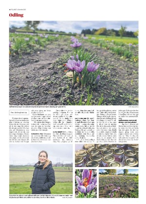 skanskadagbladet_z3_c-20211208_000_00_00_016.pdf