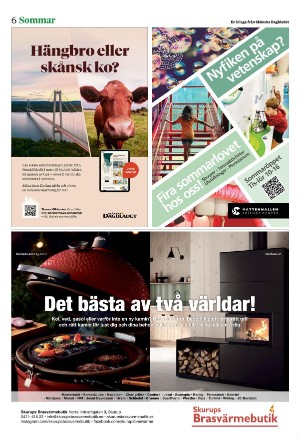 skanskadagbladet_z3_c-20250607_000_00_00_006.pdf
