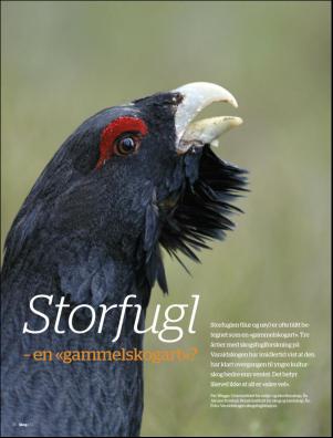 skog-20120226_001_00_00_036.pdf