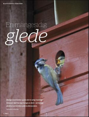 skog-20120226_001_00_00_044.pdf
