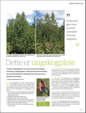 skog-20120410_002_00_00_041.pdf
