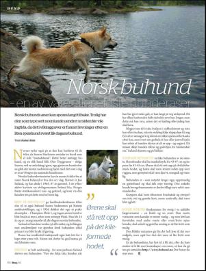 skog-20120410_002_00_00_064.pdf