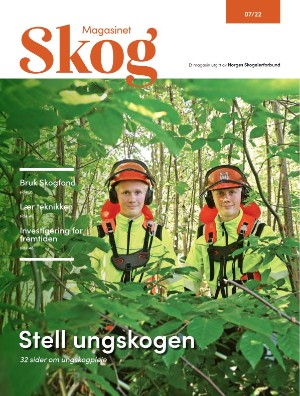 Skog 2022/7 (15.11.22)